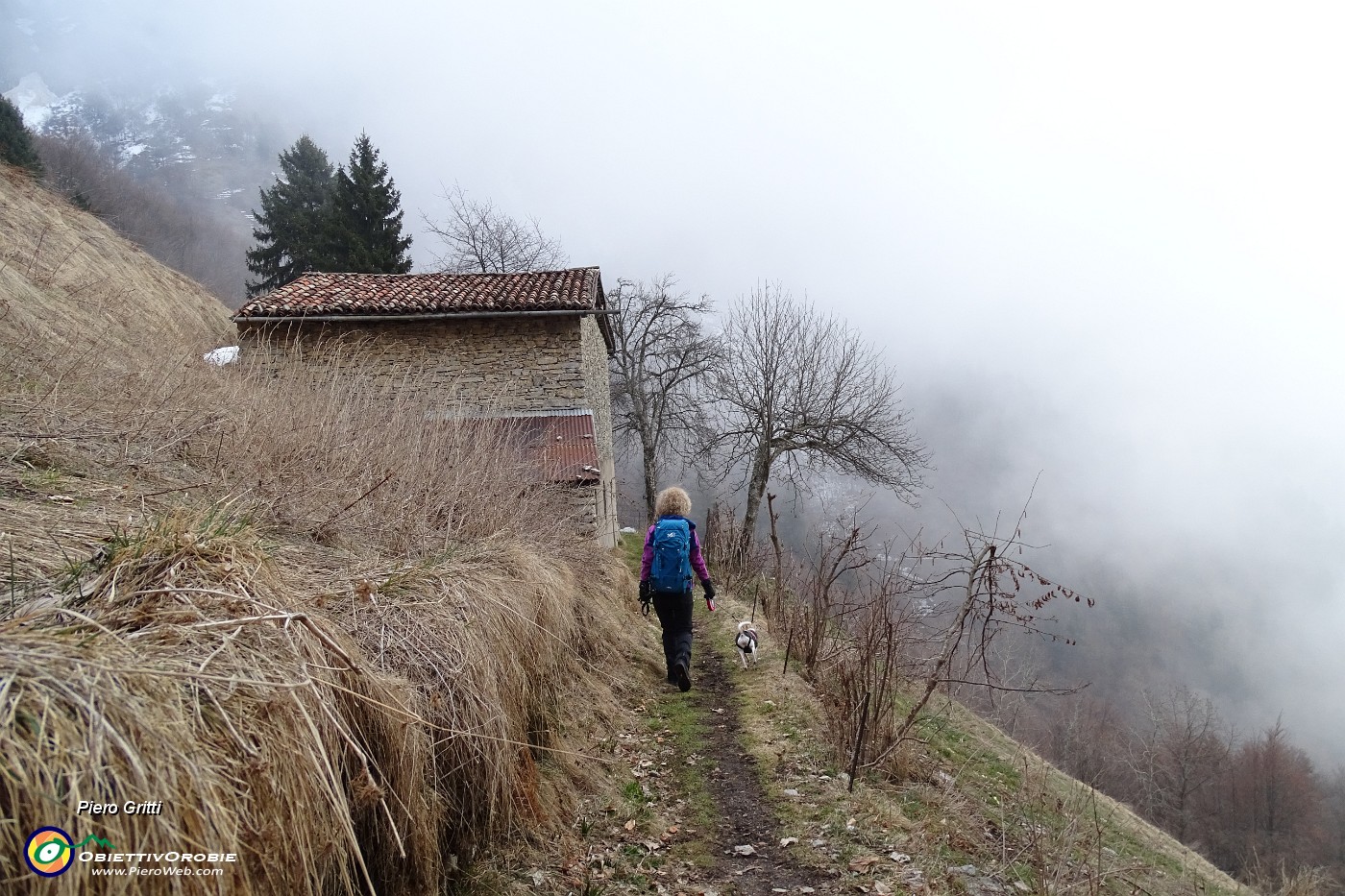 08 Nebbia mattutina, si spera se ne vada.JPG
